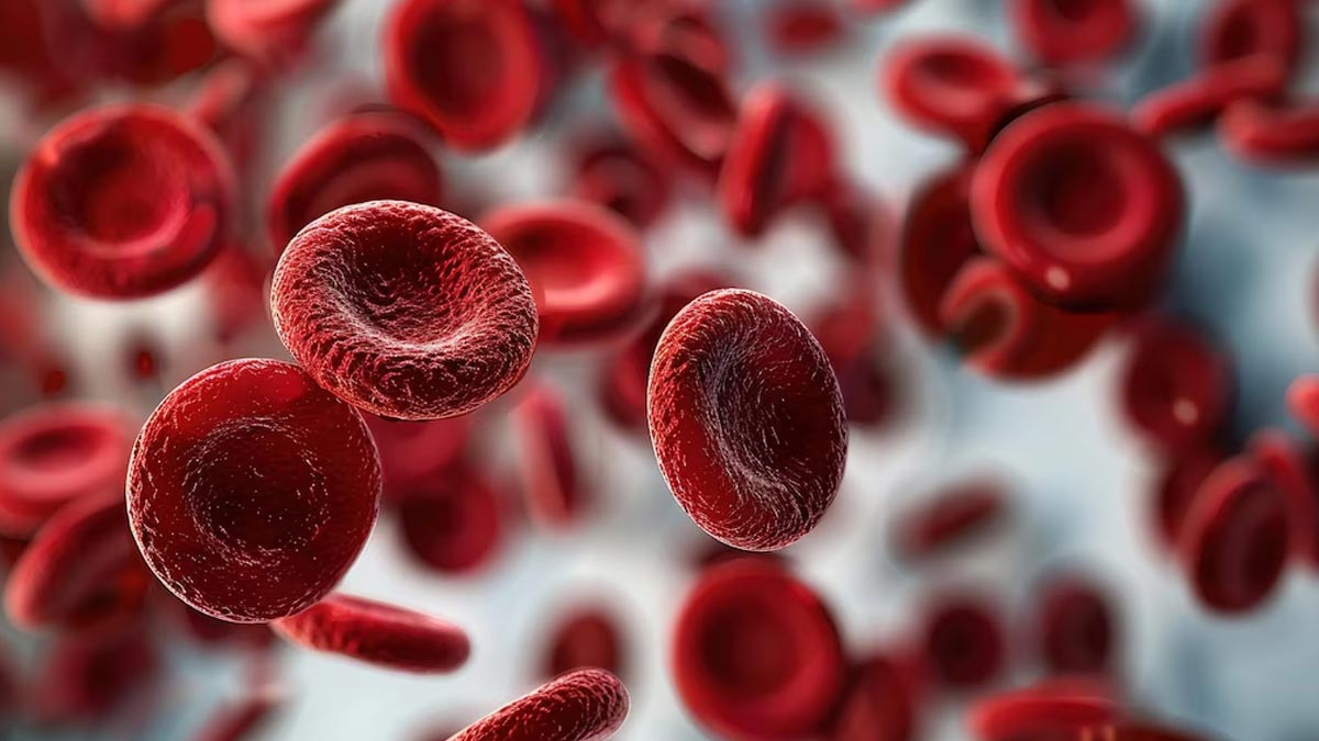 Why Some People Bleed With Vitamin K Deficiency